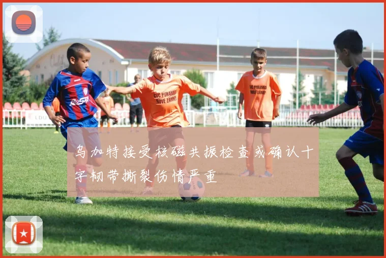 乌加特接受核磁共振检查或确认十字韧带撕裂伤情严重